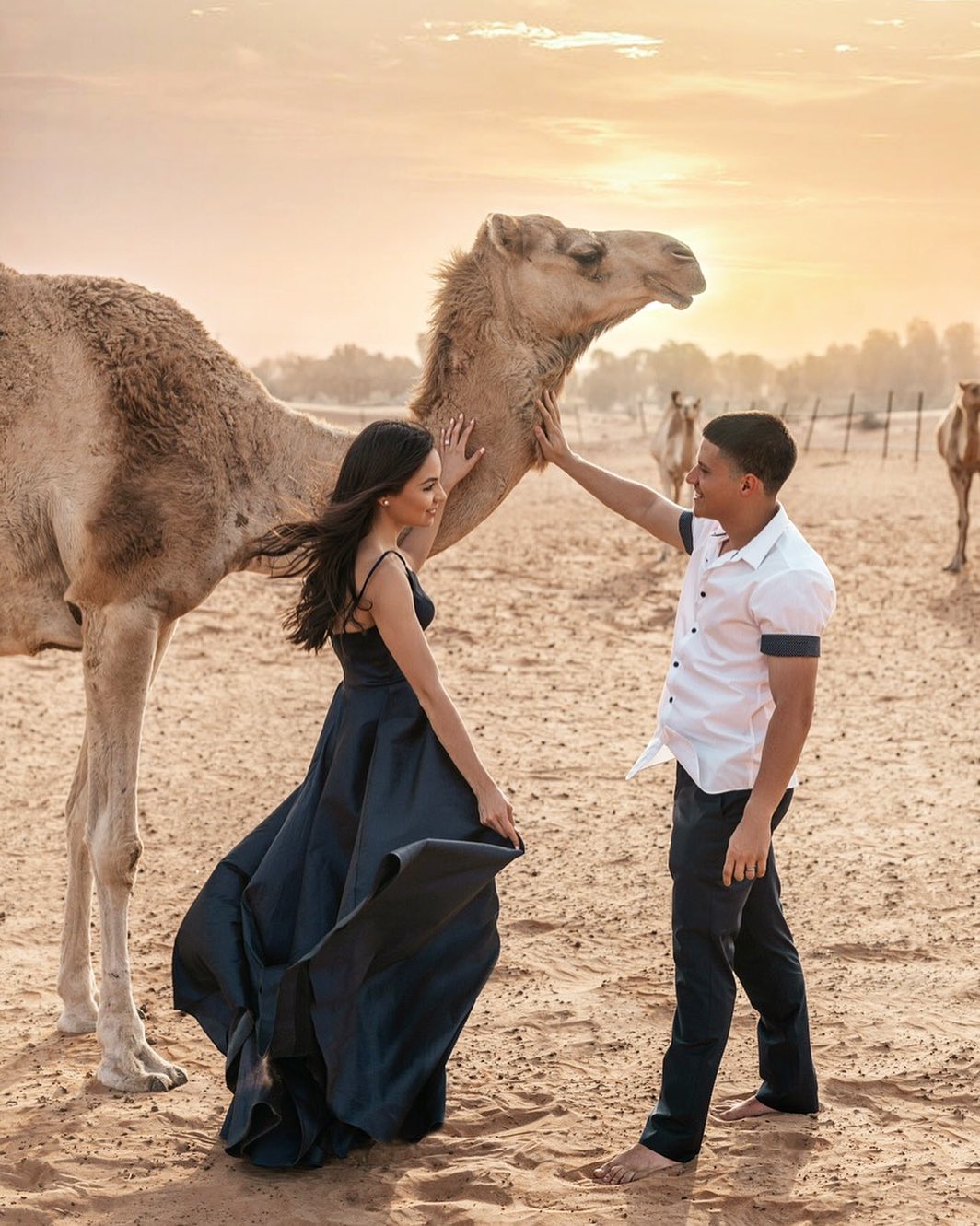 Молодая пара позирует с верблюдом в пустыне Дубая.